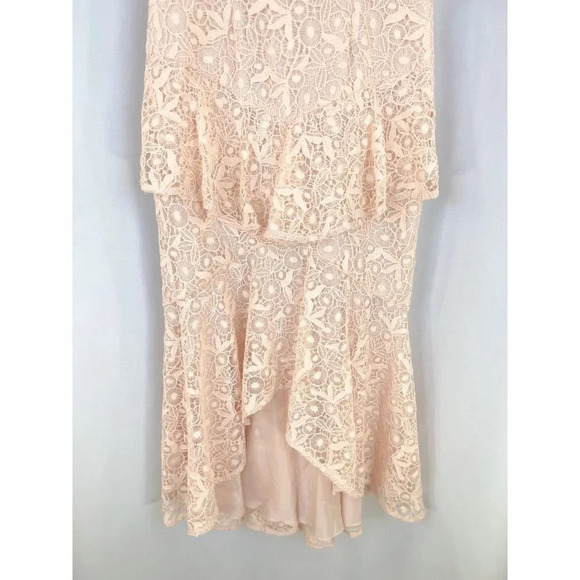 AMUR Pink Lace Hayden Midi Formal Dress $695 - Picture 8 of 15